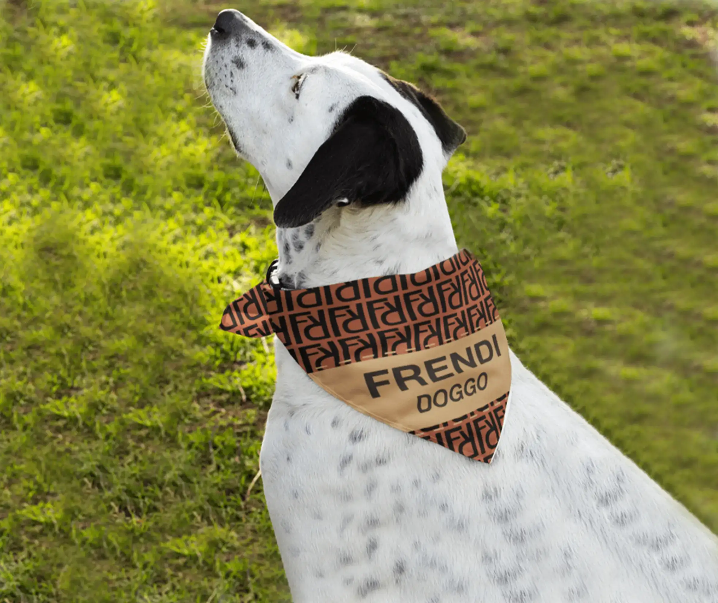 باندانای حیوانات